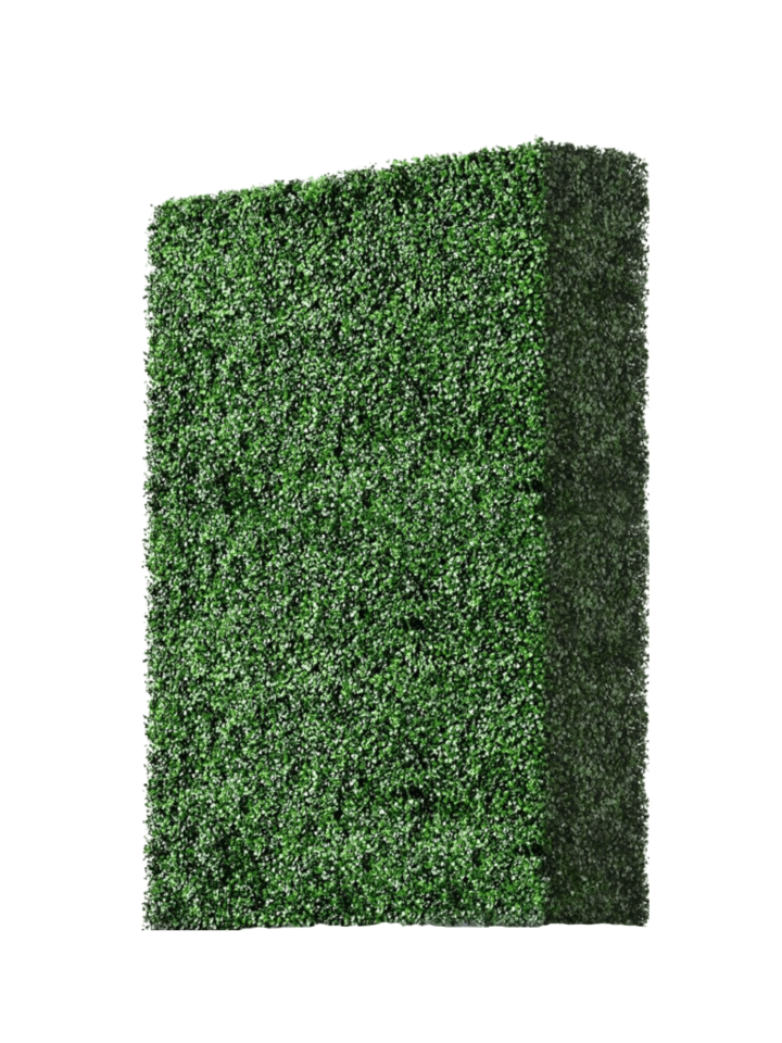 Boxwood Wall, 4 ft. x 8 ft.