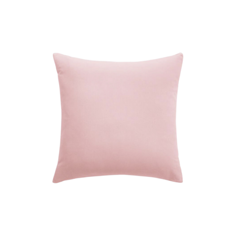 Ballet Velvet Throw Pillow