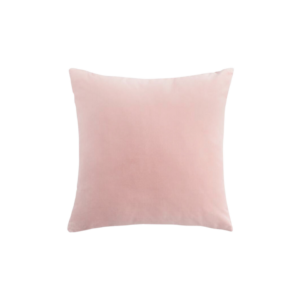 Blush Velvet Throw Pillow