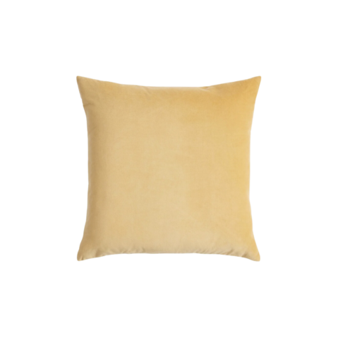 Sol Velvet Throw Pillow