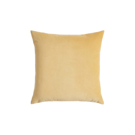 Sol Velvet Throw Pillow