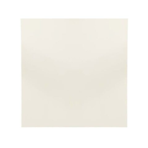 Wall Panel ~ Fossil
