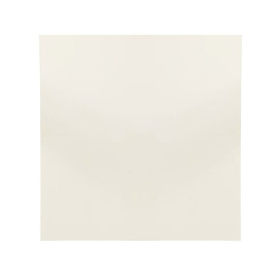 Wall Panel ~ Fossil
