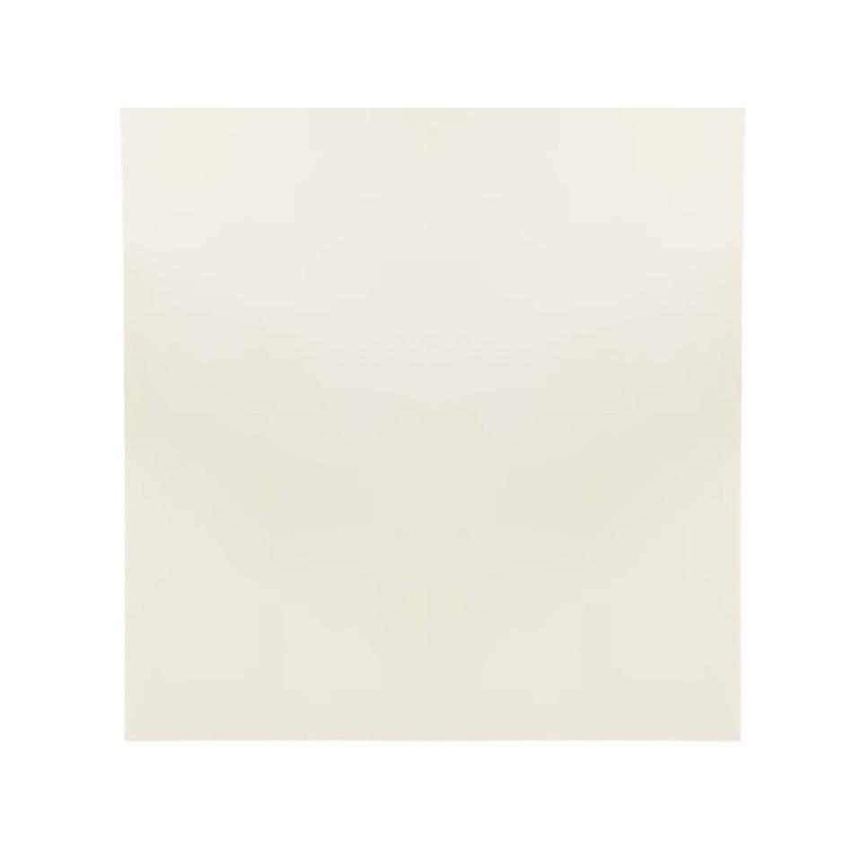 Wall Panel ~ Fossil