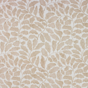 Lucy Linen, Terra