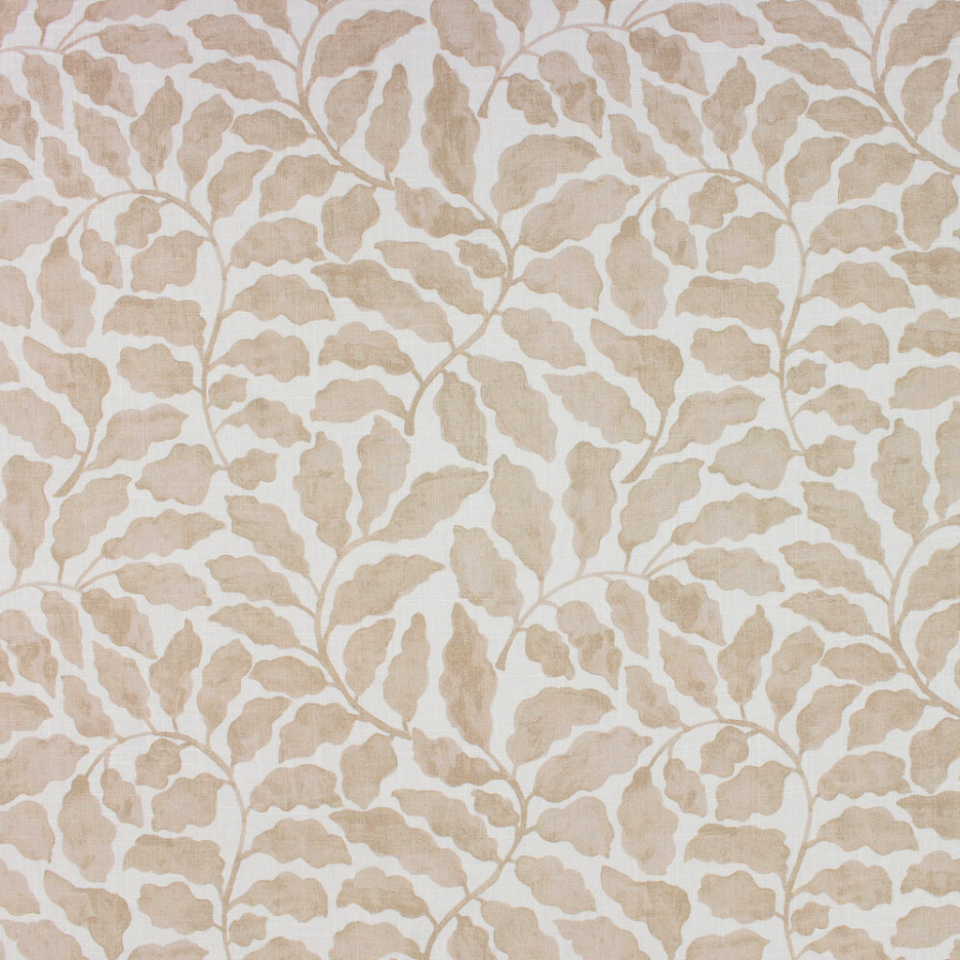 Lucy Linen, Terra