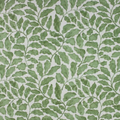 Lucy Linen, Verde