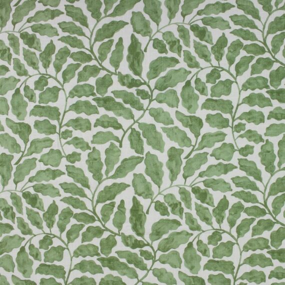 Lucy Linen, Verde