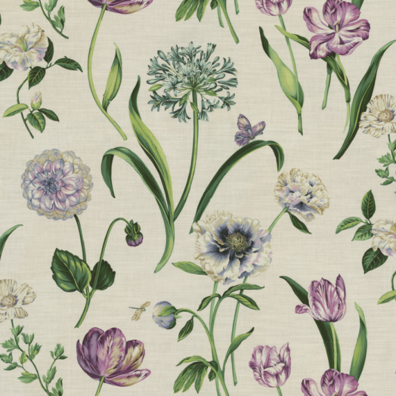 Laurel Linen, Elderberry