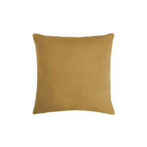 Golden Velvet Throw Pillow