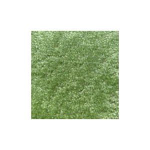 Light Green Event Carpet