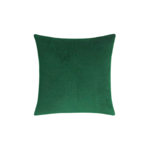 Emerald Velvet Throw Pillow