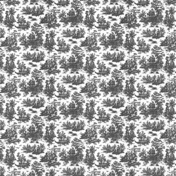 Betsy Toile Linen, Black & White