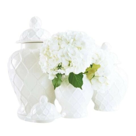 White Ginger Jars