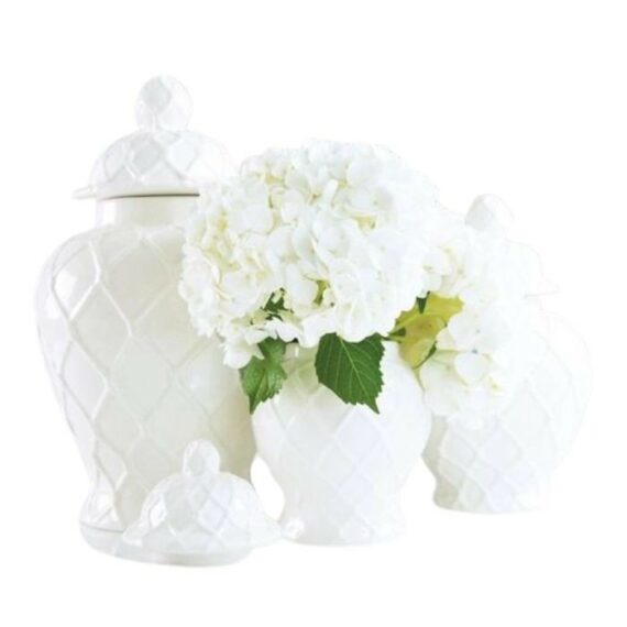 White Ginger Jars