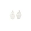 Ginger Jar Salt & Pepper Shaker Set