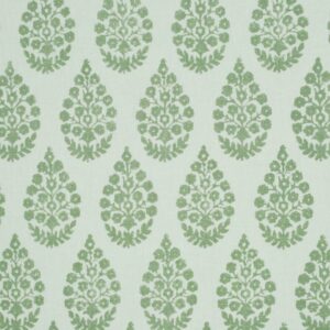 Corey Napkin, Fern