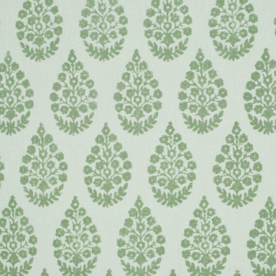 Corey Napkin, Fern