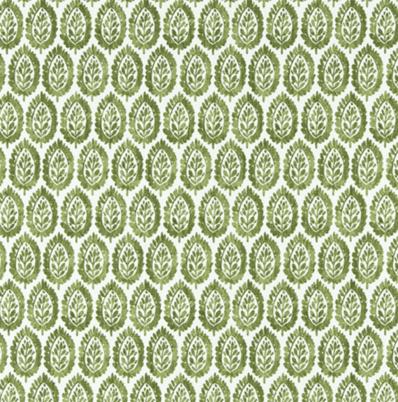 Ellie Linen, Kale
