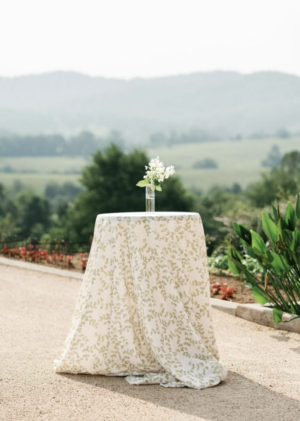 Linen: Sarah Sage, 132 in. - Erin Wilson Photography: https://erinwilsonphotography.com/
