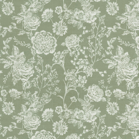 Fiorella, Olive