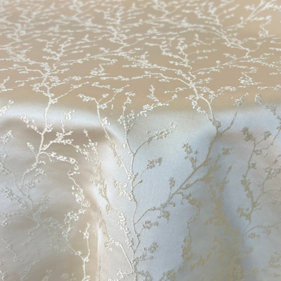 Juliet Linen, Champagne